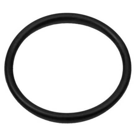 O-ring Mercury